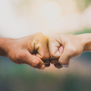 Shutterstock 1136279633