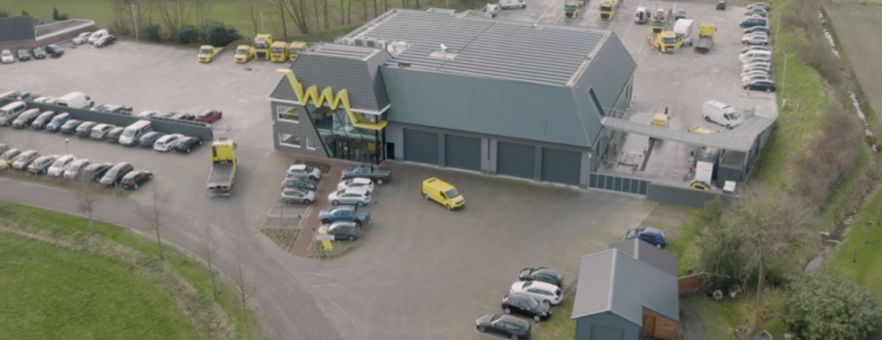Wolves